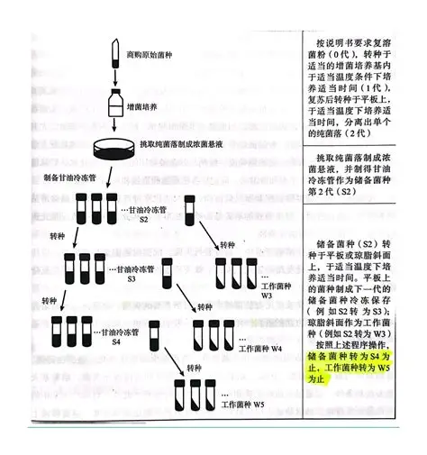 菌株保存及传代流程图