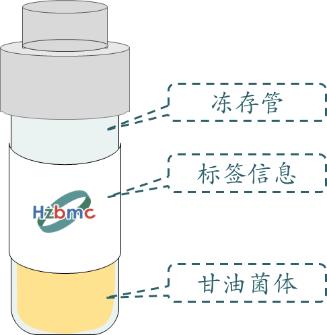 厌氧_冻存管