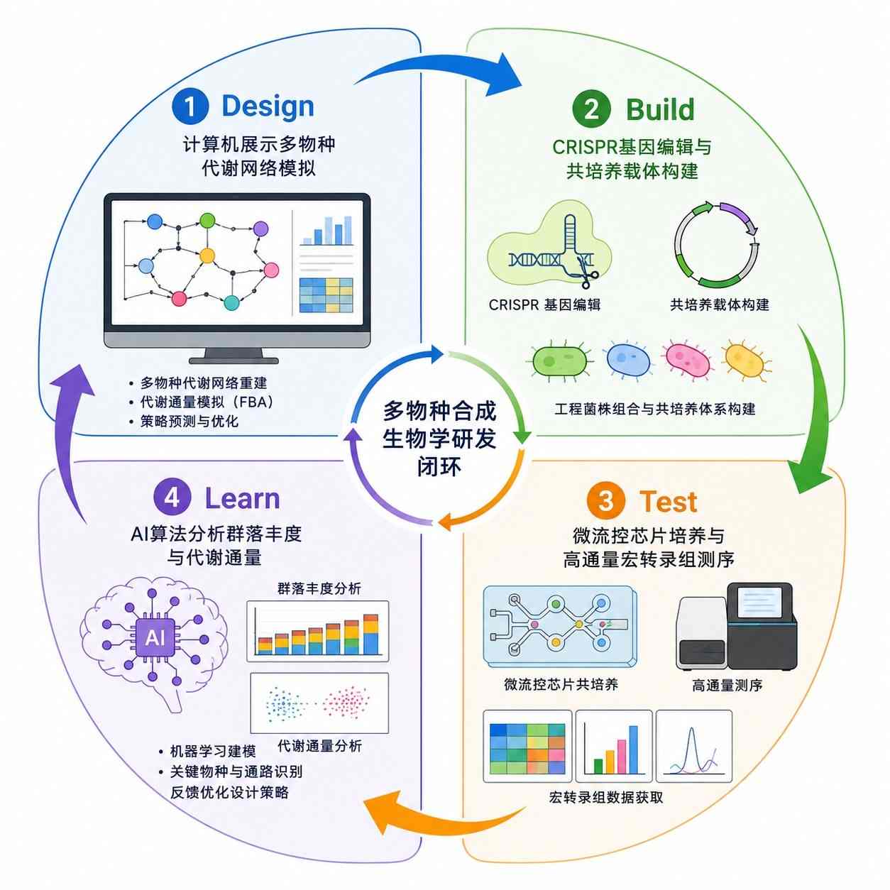 基于计算生物学与多组学反馈的合成菌群工程化迭代流程