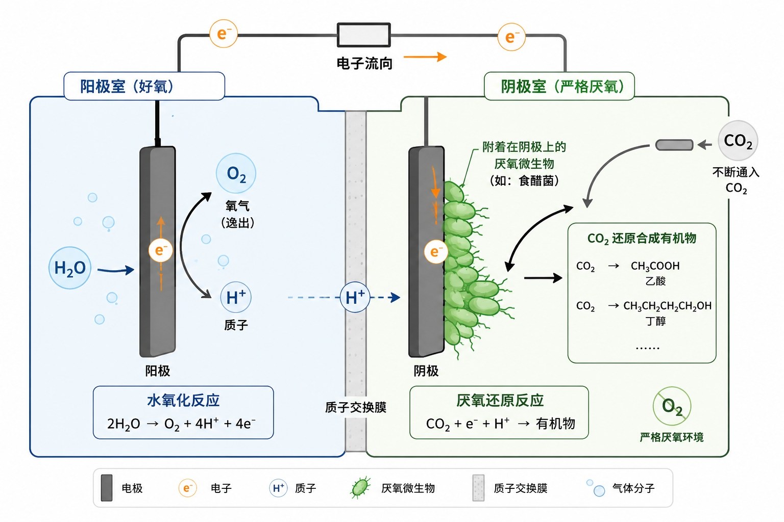 微生物电合成(MES)系统:将电能转化为化学键能