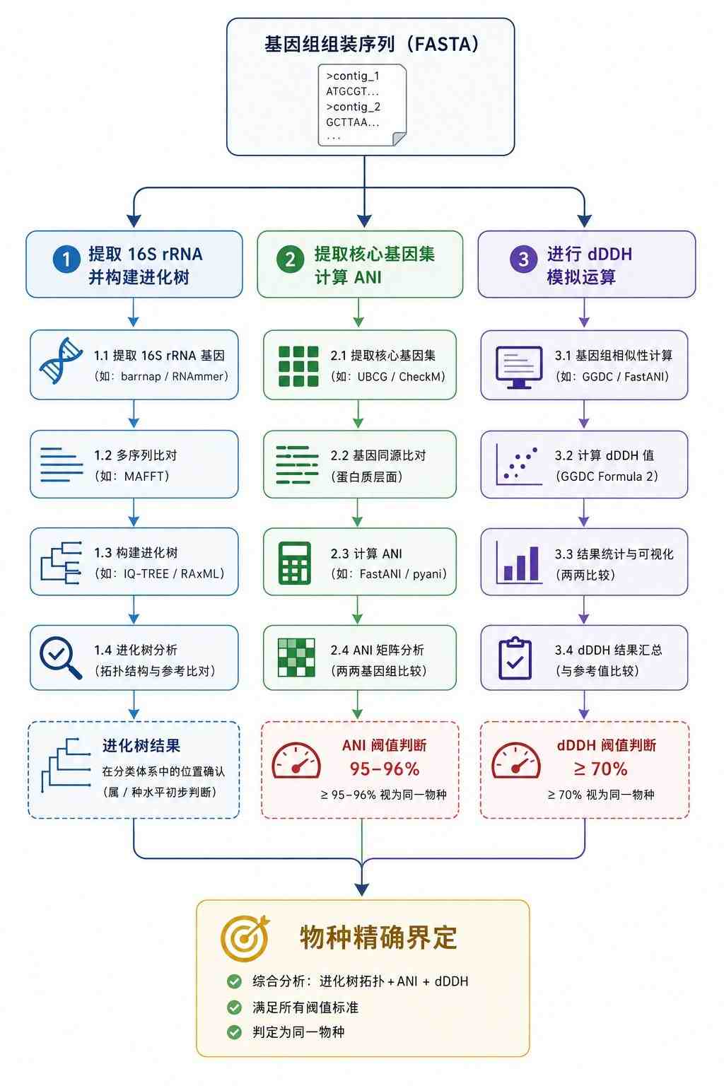 现代微生物基因组学分类与 ANI/dDDH 计算标准工作流