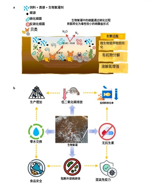 生物絮团技术
