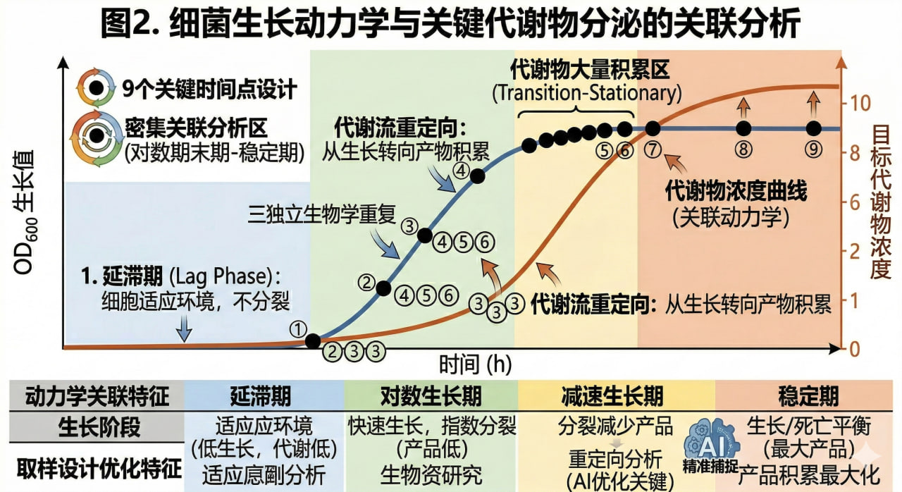 生长曲线与代谢物浓度的双轴拟合分析