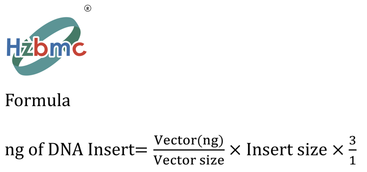插入片段比例参考公式