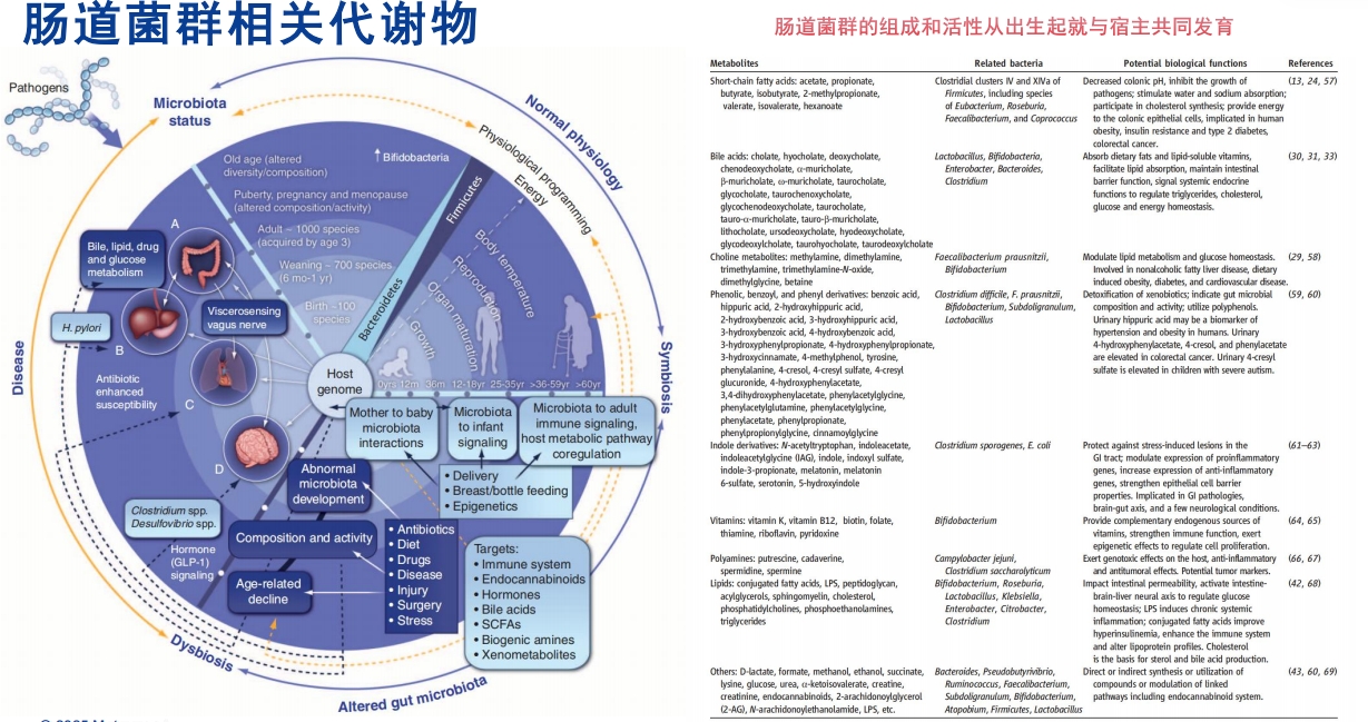 肠道菌代谢组学
