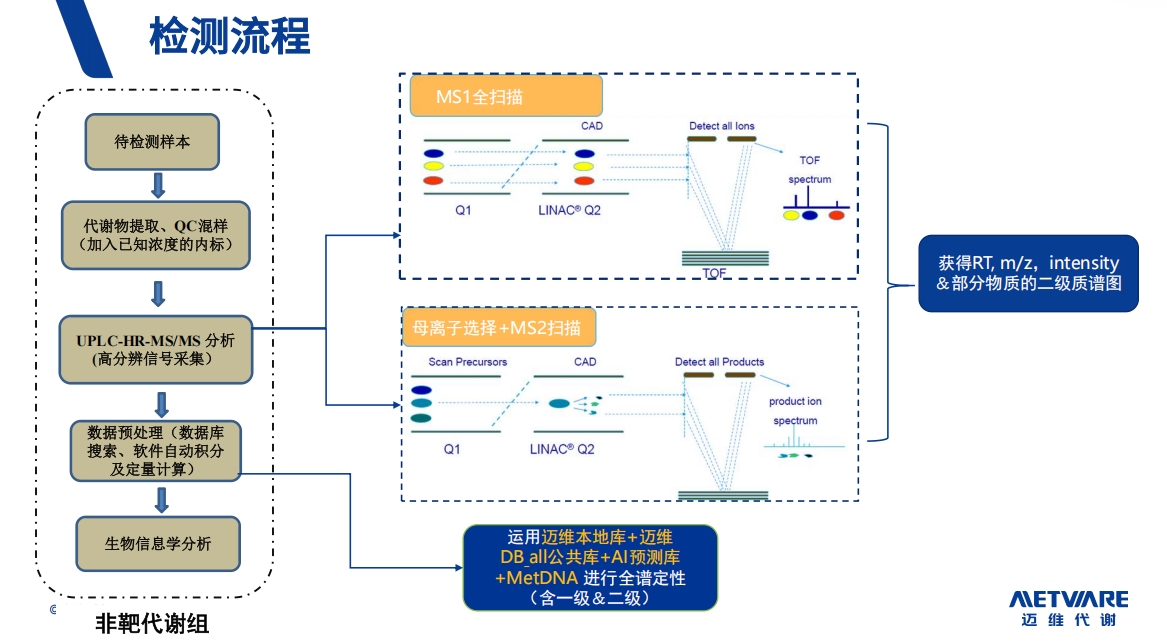 非靶向代谢检测流程