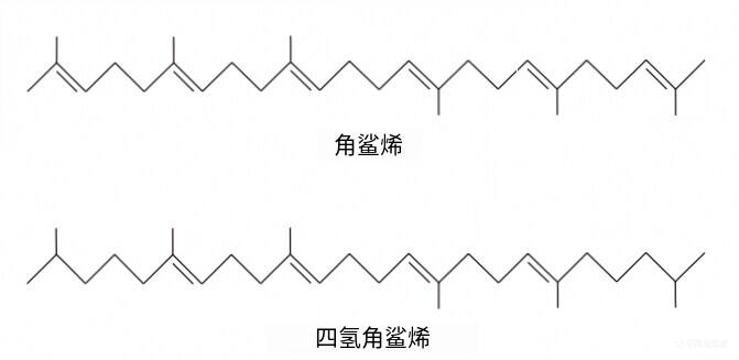 古菌的非极性脂质