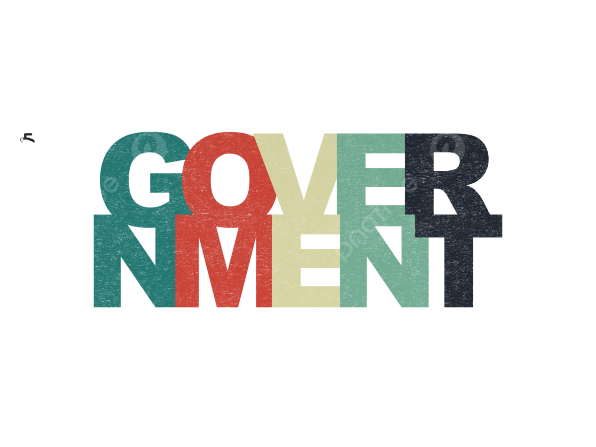 政府支持