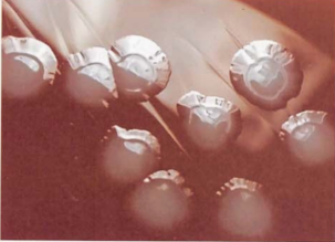 图 14 产单核细胞李斯特菌在血琼脂平板上呈车轮状菌落