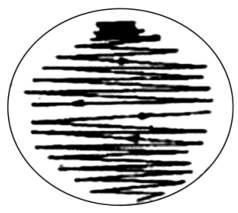 图Ⅵ－2 连续划线接种法