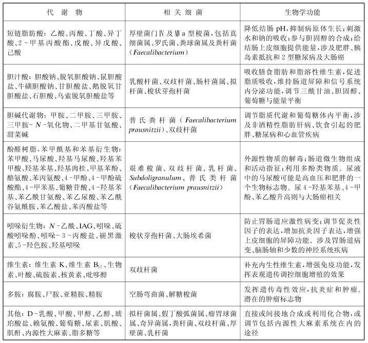 肠道主要代谢物和相关细菌及生物学功能