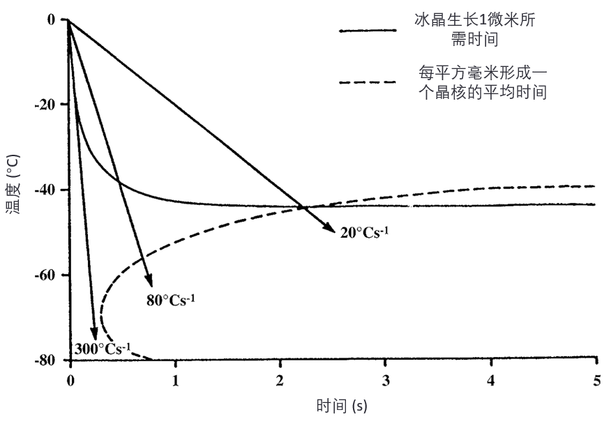晶核形成与冰晶生长的时间-温度依赖关系