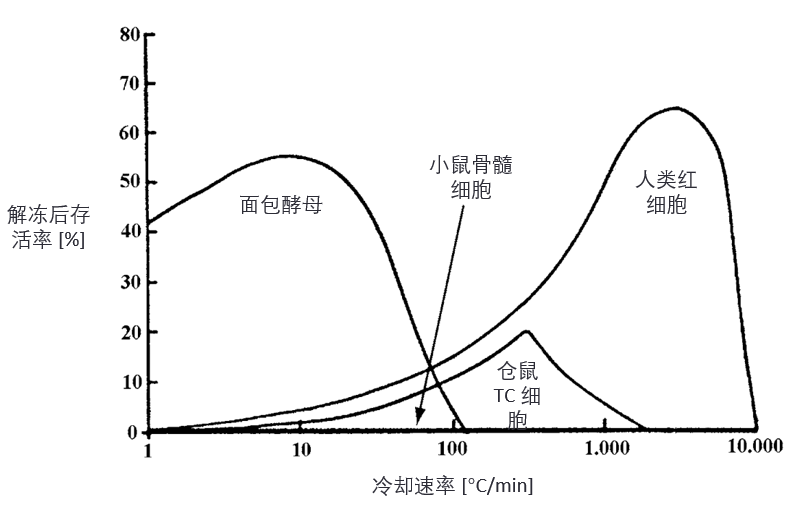 冷却速率对四种细胞冷冻后存活率的影响