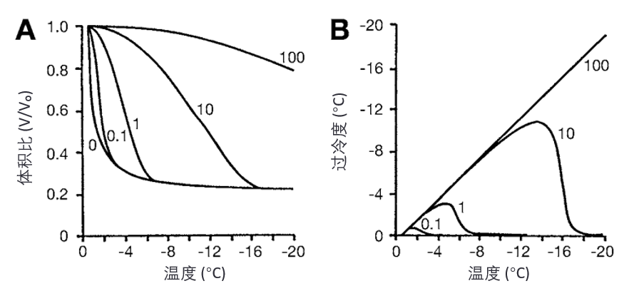 冷却速率（cooling rate）对肝细胞（hepatocytes）体积及其内容物过冷程度（supercooling）的影响