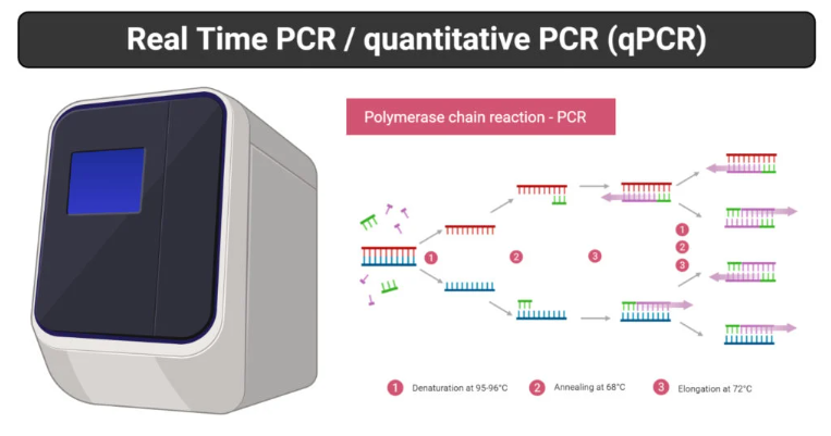 实时荧光定量PCR原理、流程、标记物、优势与应用