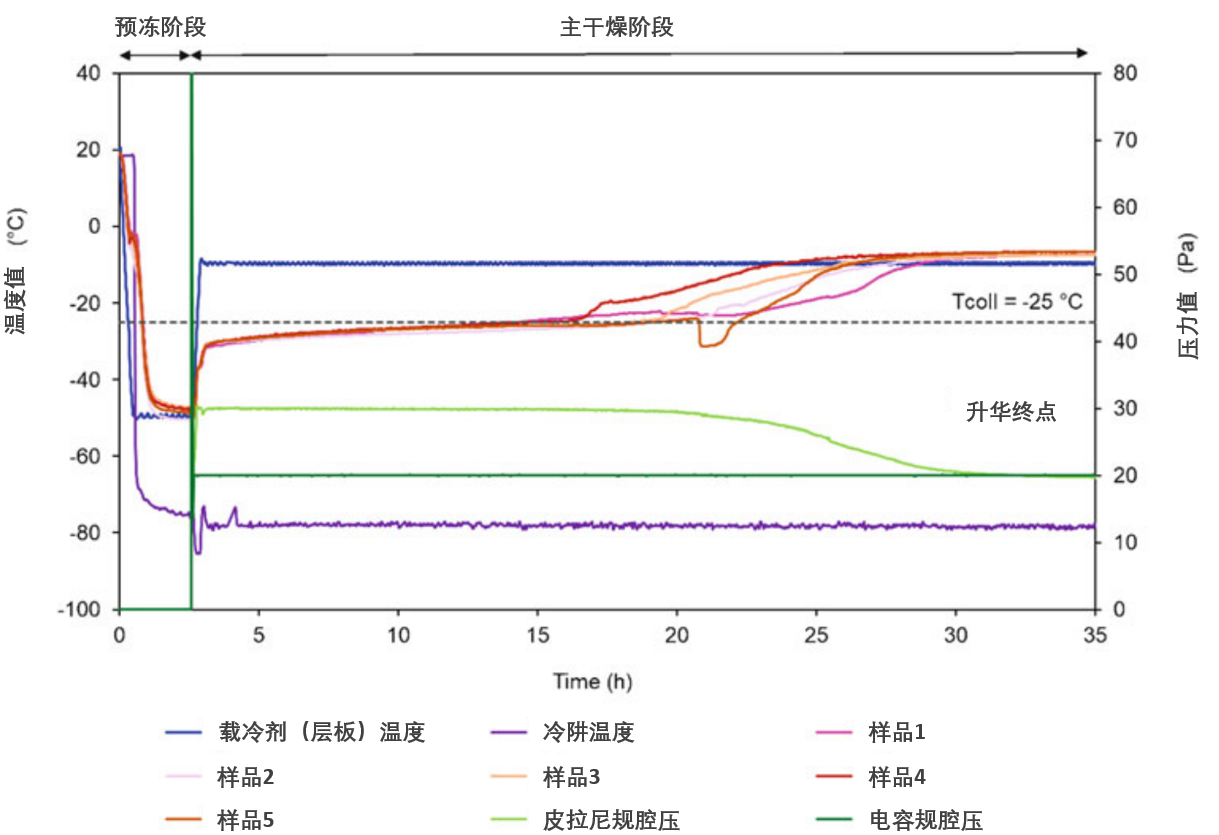 冻干工艺参数时变曲线