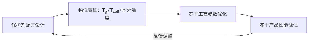 乳酸菌冷冻干燥