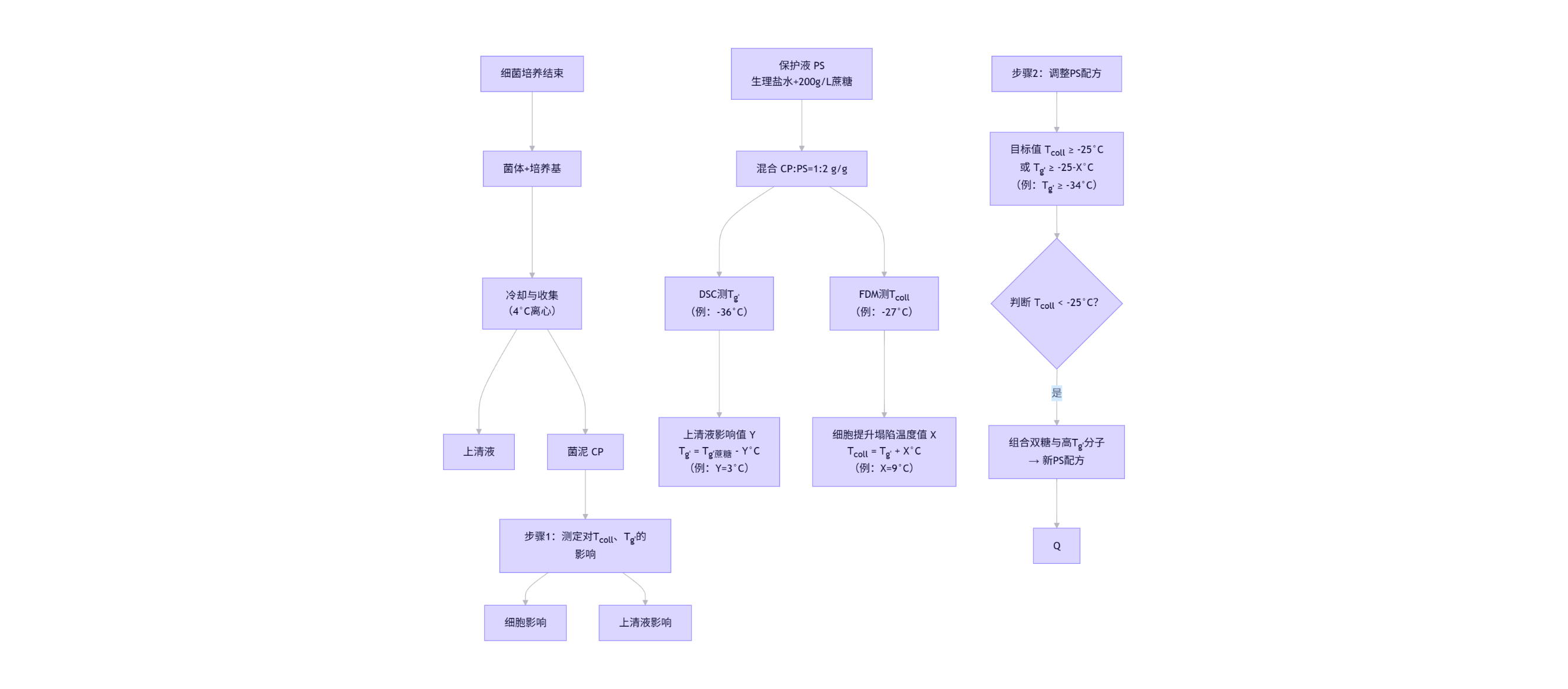 乳酸菌冻干保护剂
