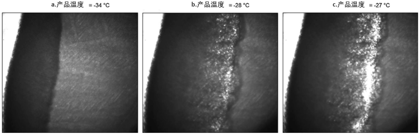 冻干显微镜观察