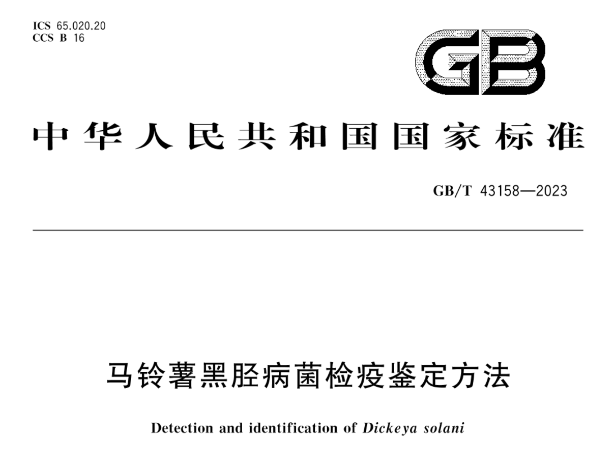 马铃薯黑胫病菌检疫鉴定方法
