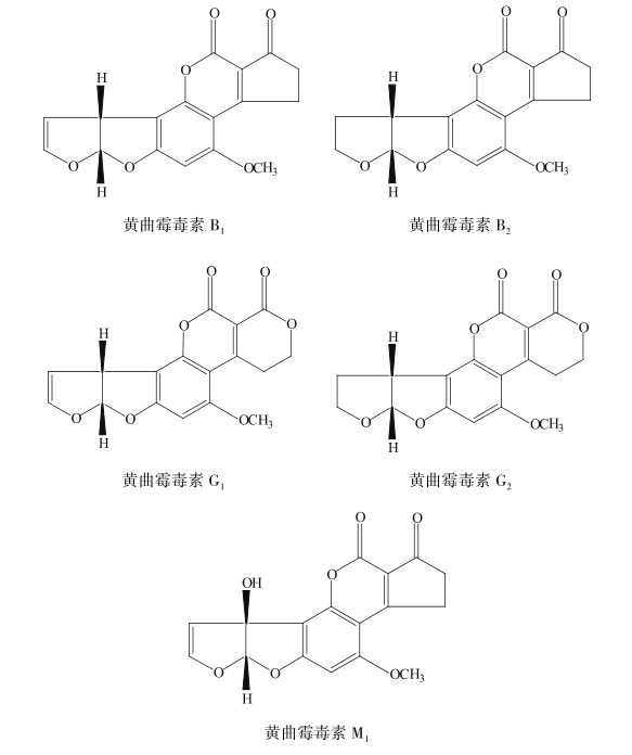 黄曲霉毒素的化学结构示意图