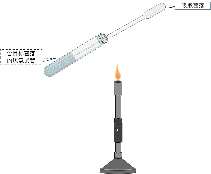 挑取单菌落转接