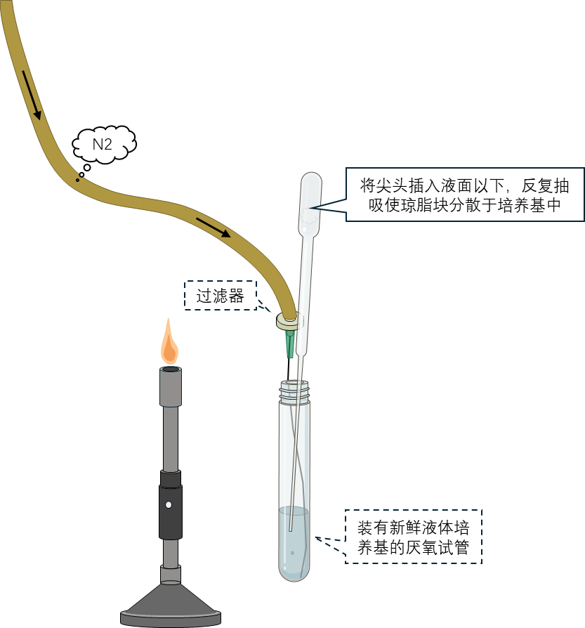 挑取单菌落转接