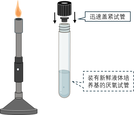 挑取单菌落转接