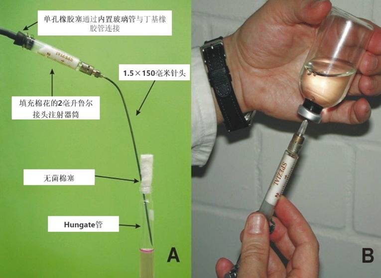 Hungate 技术中无菌通气针的组装