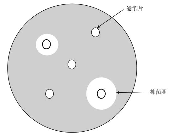 化学消毒剂对微生物生长的影响操作图示