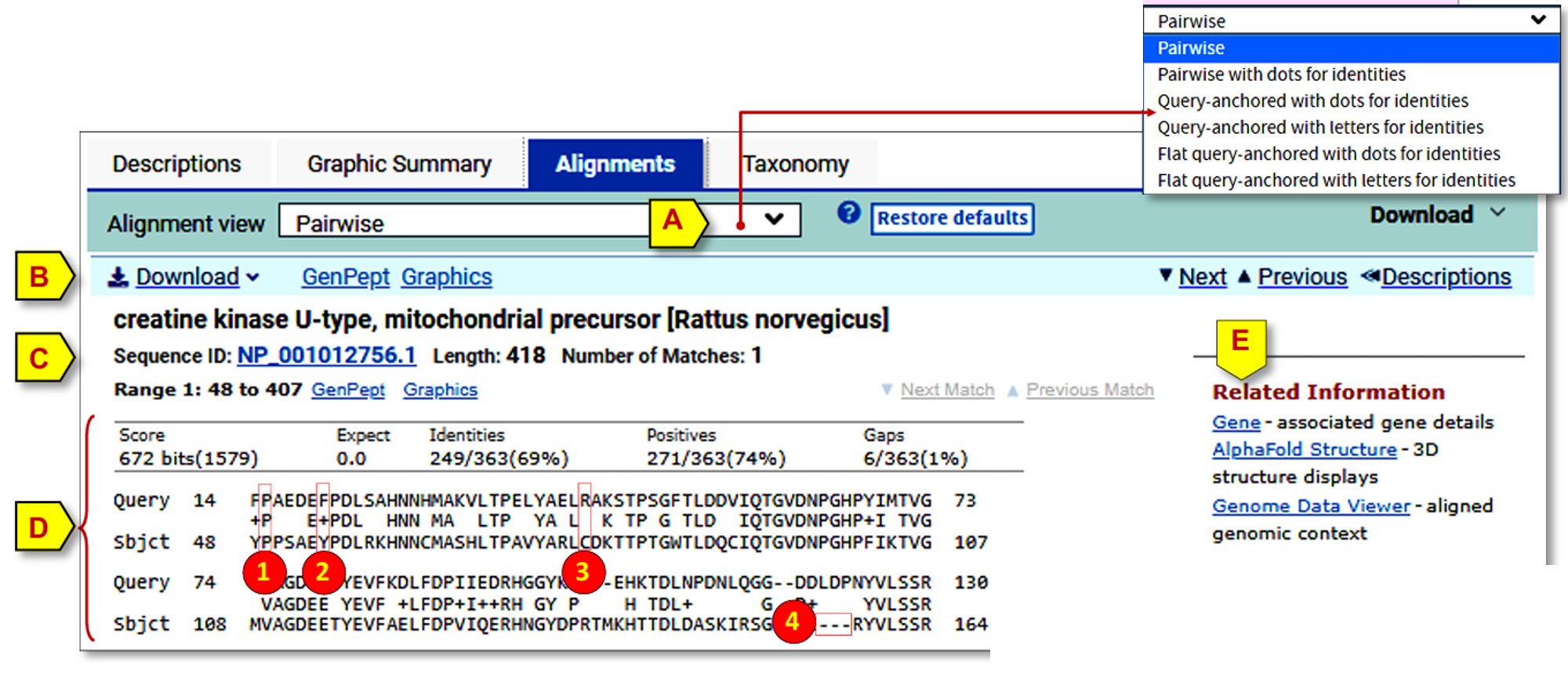 NCBI BLAST 搜索结果页面详解
