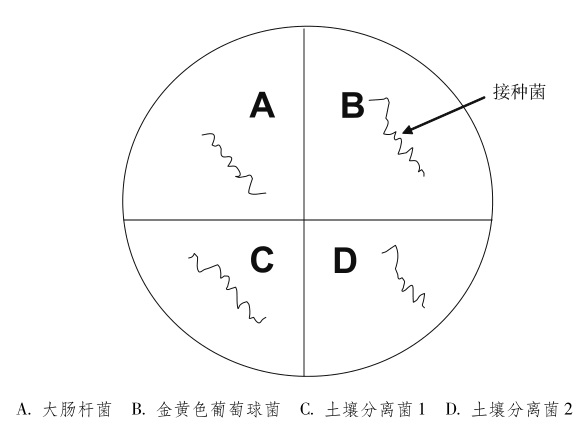 温度对微生物生长的影响接种图示