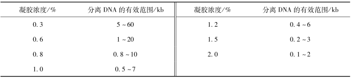 不同浓度琼脂糖凝胶及其分离线性 DNA 分子的有效范围