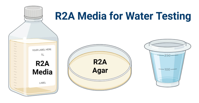 R2A培养基
