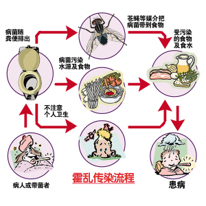 霍乱弧菌感染