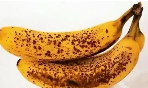 香蕉