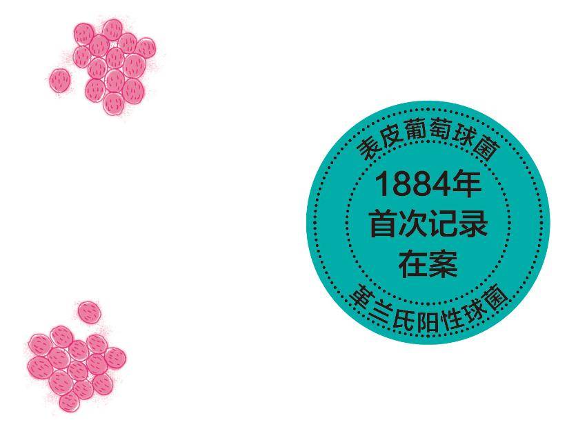 表皮葡萄球菌