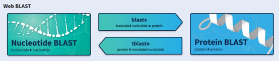 BLAST