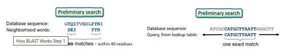 BLAST 工作原理