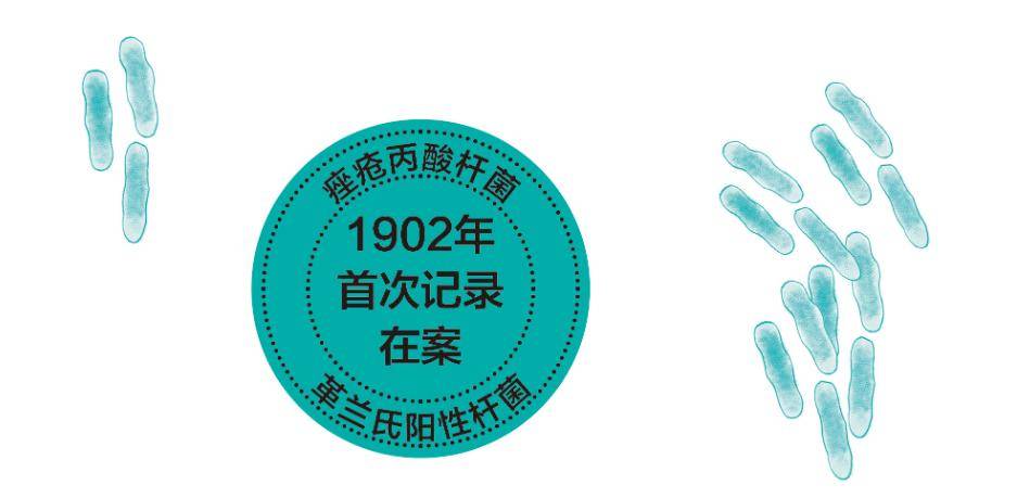 痤疮丙酸杆菌
