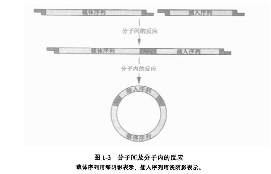 分子间及分子内的反应