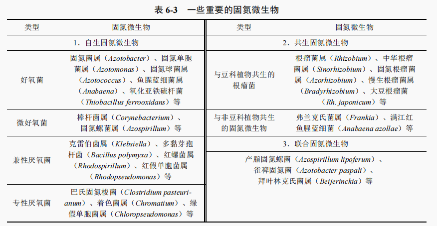 固氮微生物