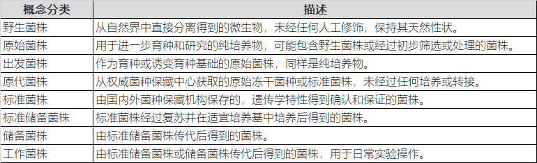 菌株分类
