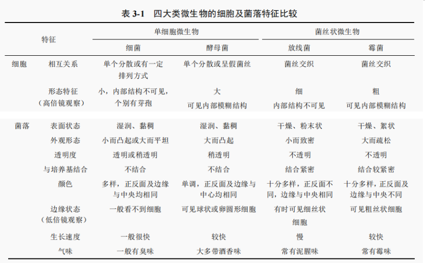 细菌酵母放线菌和霉菌菌丝及菌落特征比较