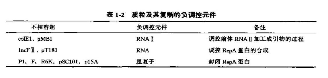 负调控元件