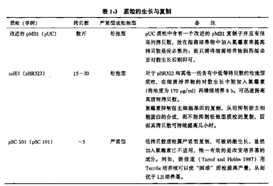质粒的生长与复制