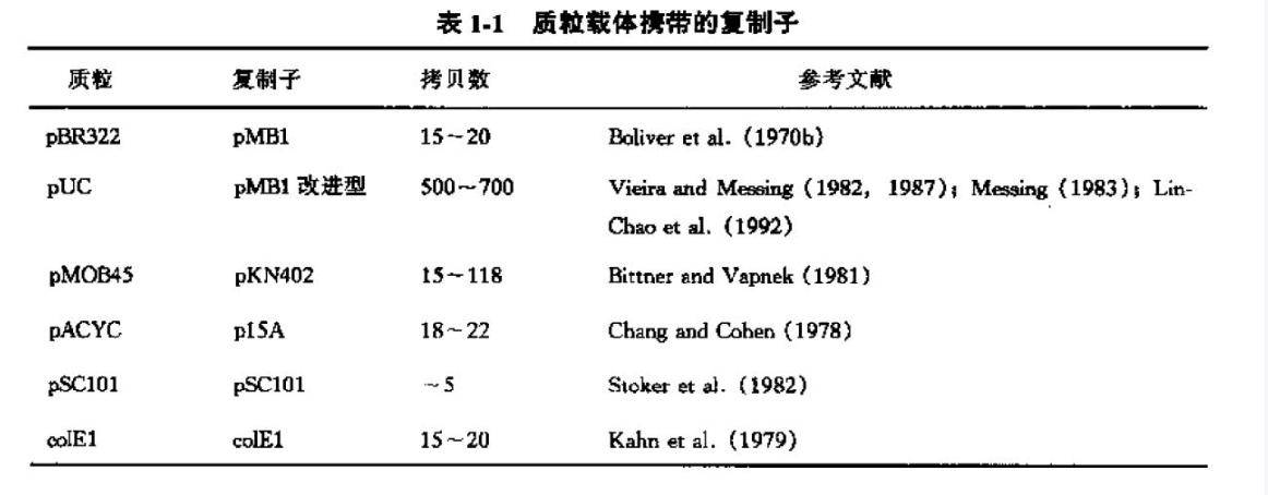 质粒载体携带的复制子