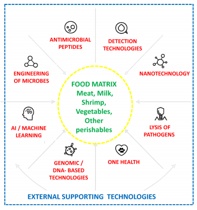 图4.同心示意图，展示了食品基质内部的核心微生物抑制过程，以及能够增强检测、控制和整体食品安全的外部支持技术