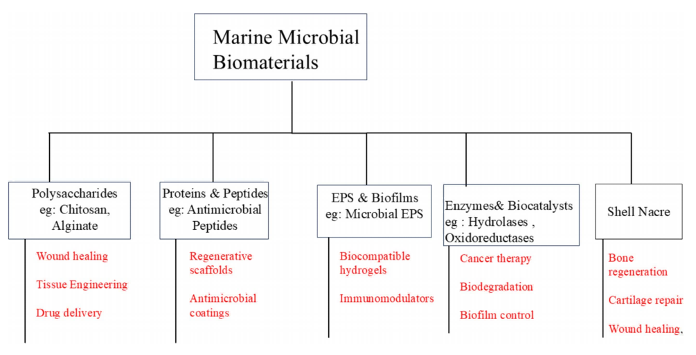 海洋微生物生物材料
