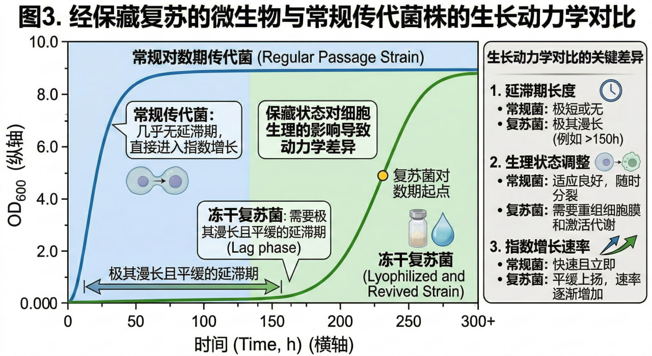 复苏后微生物生长的分光光度(OD600)动力学曲线